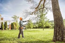 How Our Tree Care Process Works  in  Granville, WV